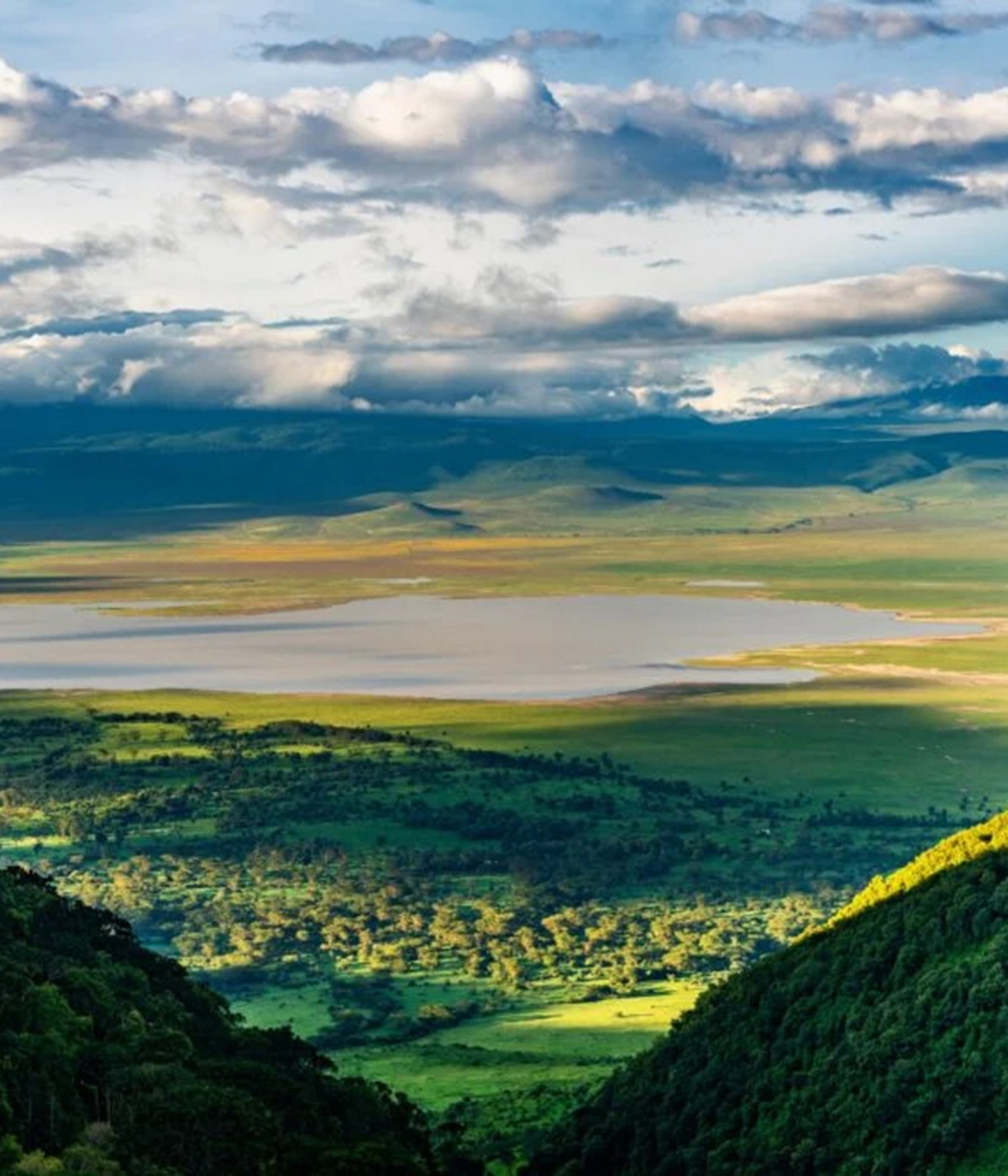 Hifadhi za Taifa